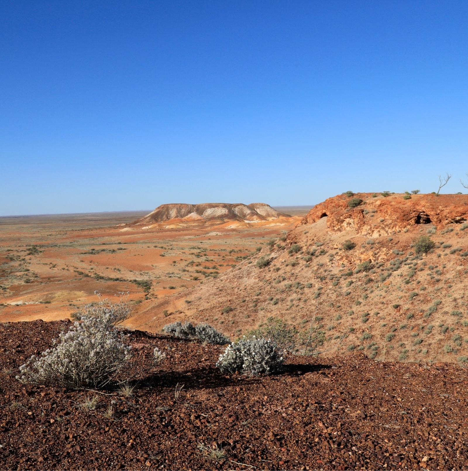 SA Exploration Release Area landscape