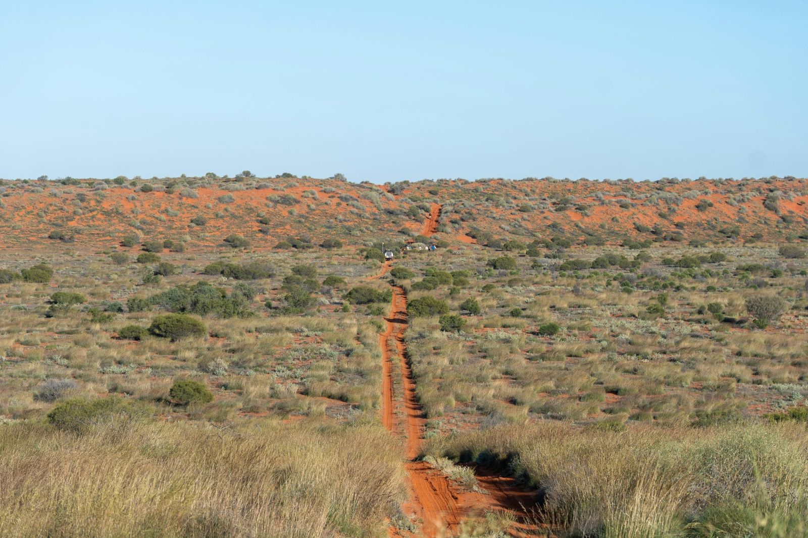 Gawler Craton pastoral country