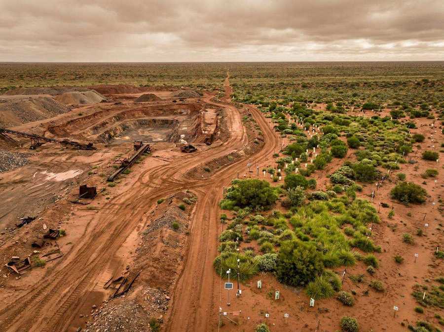 A closed open-cut pit alongside an active rehabilitation paddock with revegetation tree guards on red Outback ground — the operational reality of mine closure under the NT Mining Management Act 2001