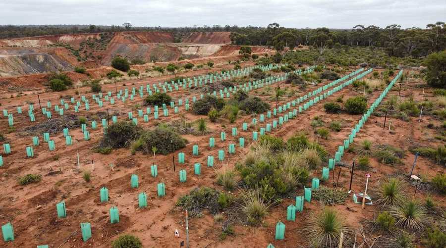 Environmental Compliance