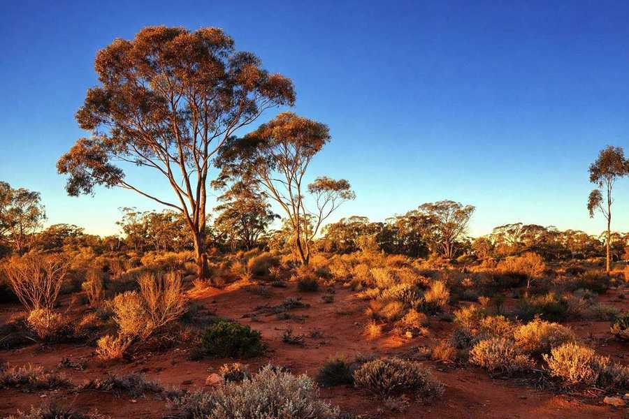 Native Title & Cultural Heritage